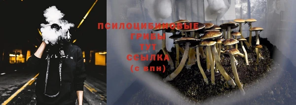 гашик Кинешма