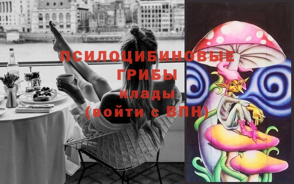 гашик Кинешма